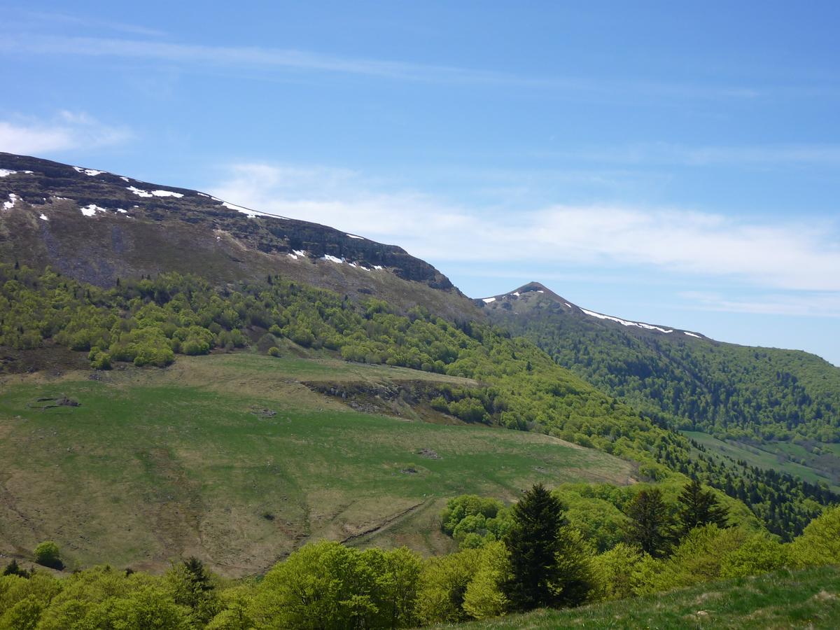 Auberge De L'Aspre Fontanges Esterno foto